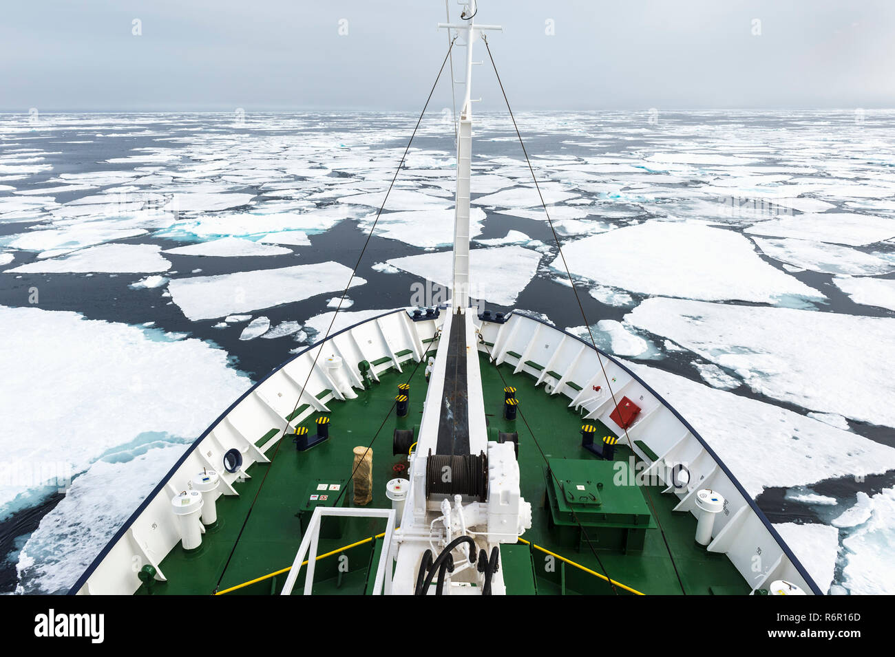 Expeditionsboot Navigation durch schmelzendes Packeis, Arktischer Ozean, 81° Nord und 26° Ost, Svalbard-Archipel, Norwegen, Europa Stockfoto