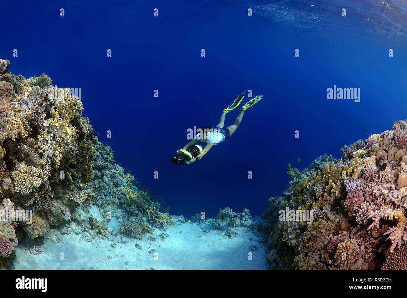 Freediver schwimmt, Unterwasser Scooter, Rotes Meer, Ägypten Stockfoto