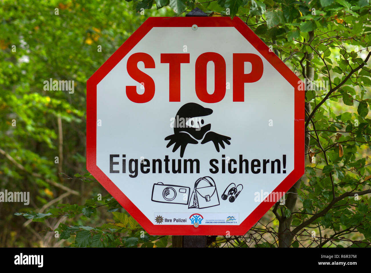 Warnzeichen für Diebe im Wald Fläche von Ahrenshoop, Darß, Mecklenburg-Vorpommern, Deutschland Stockfoto