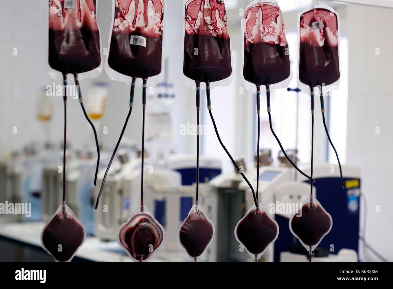 Blutbeutel auf die Transfusion Station eines Krankenhauses, Tschechische Republik Stockfoto