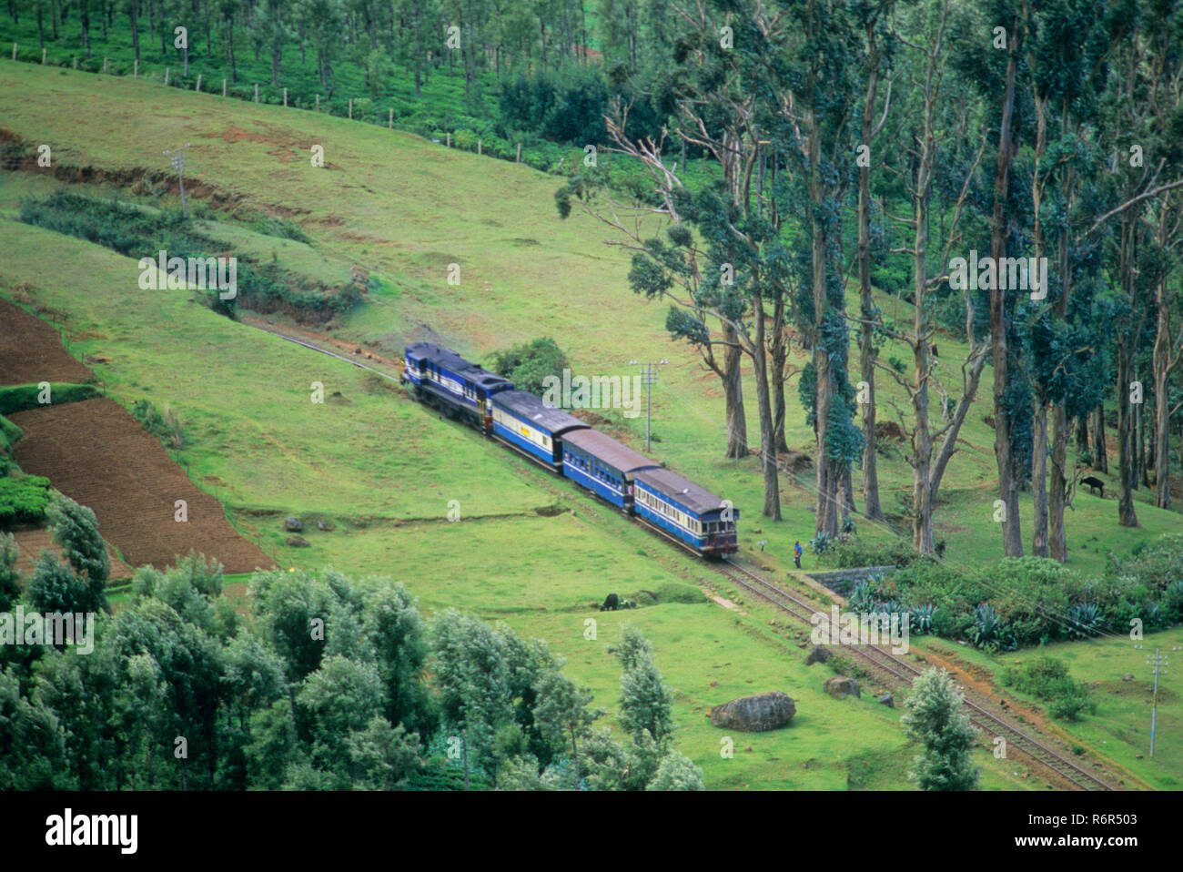 Mini Zug, Coonoor, Ooty, Tamil Nadu, Indien Stockfoto