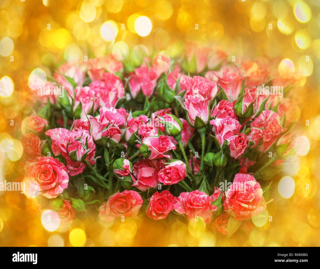 Schönen rosa Rosen in Gold Pailletten für Urlaubsstimmung. Stockfoto