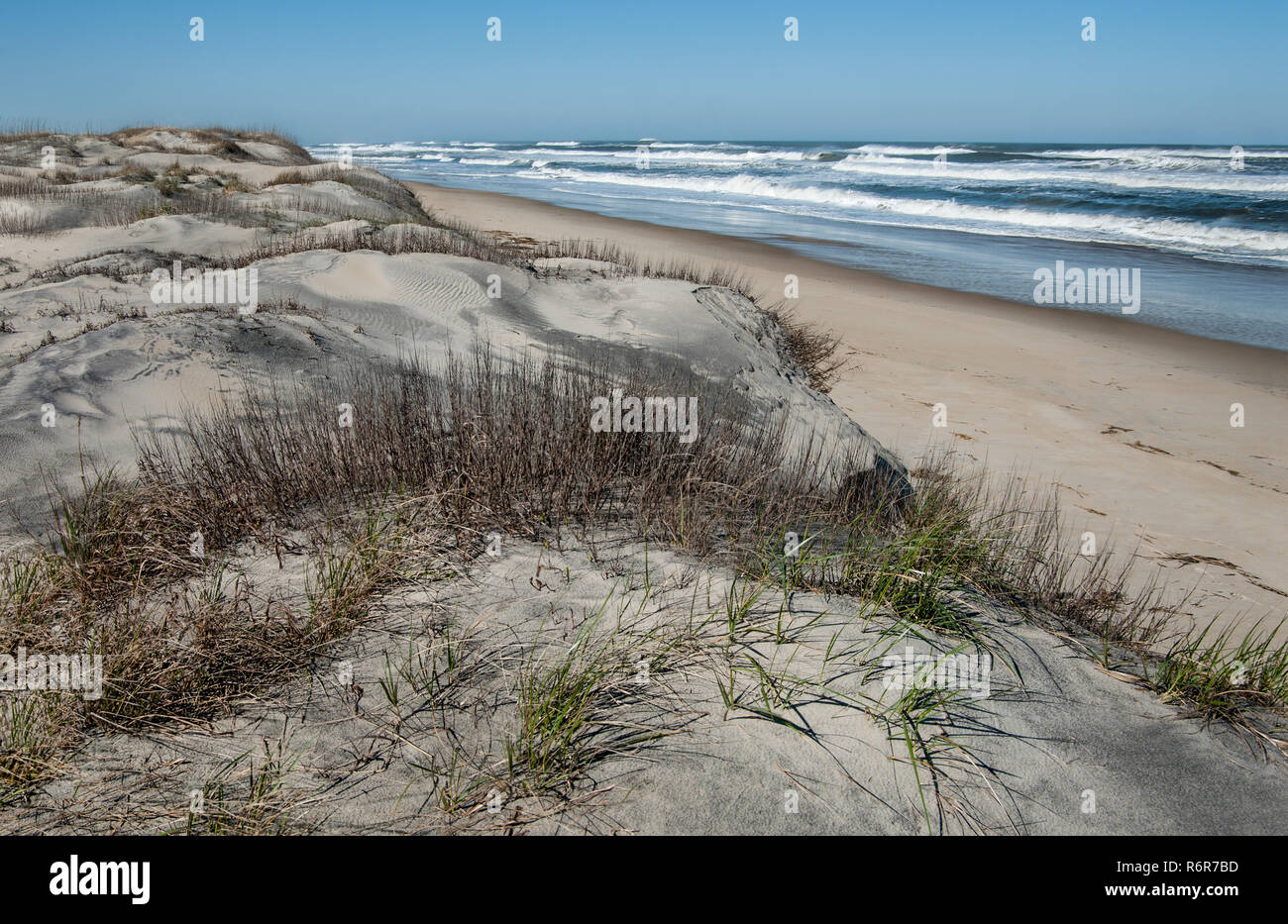 Dune Shoreline in North Carolina: Große Sanddünen am Strand von Cape Hatteras National Seashore übersehen. Stockfoto