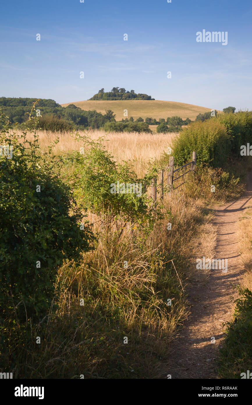 Ein Blick auf das Round Hill, Wittenham Klumpen aus der Wanderweg in der Nähe von Dorchester-on-Thames Stockfoto