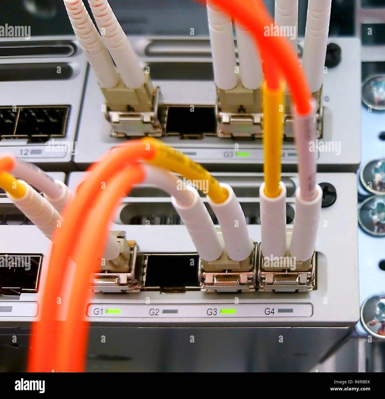 Fiber Optic Network Connectivity Stockfoto