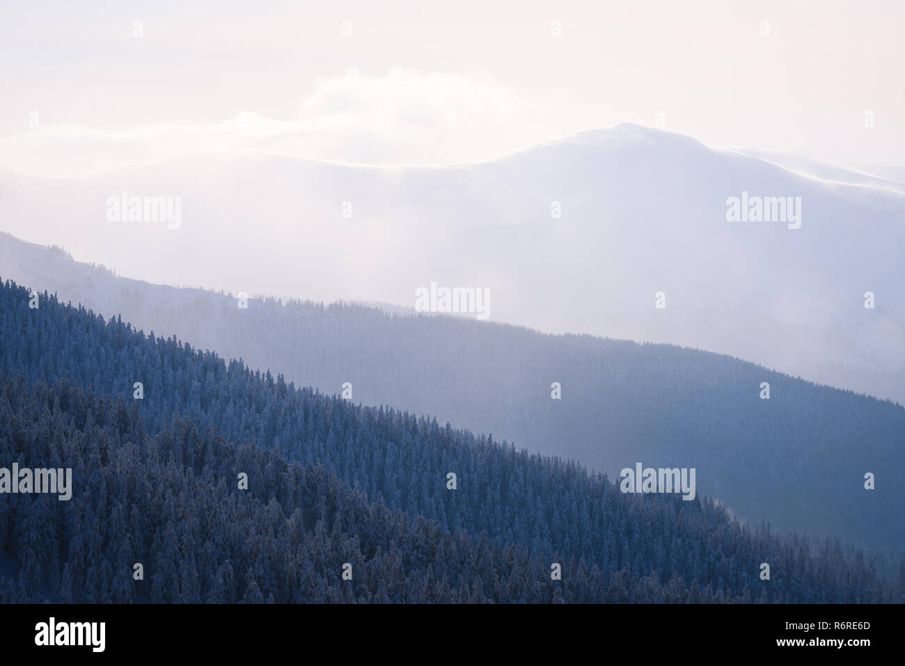Winter Hintergrund mit der Abstraktion in der Natur. Hügel im Nebel. Blick auf die schneebedeckte Gipfel. Wald an den Hängen der Berge Fichte Stockfoto