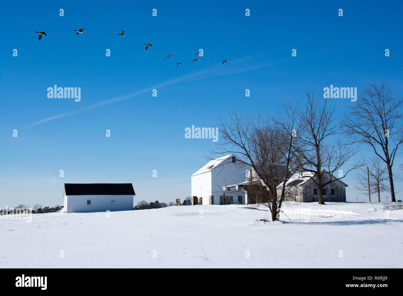 Alter Bauernhof in einer Winterlandschaft mit Schnee und fliegenden Gänse über den blauen Himmel Stockfoto