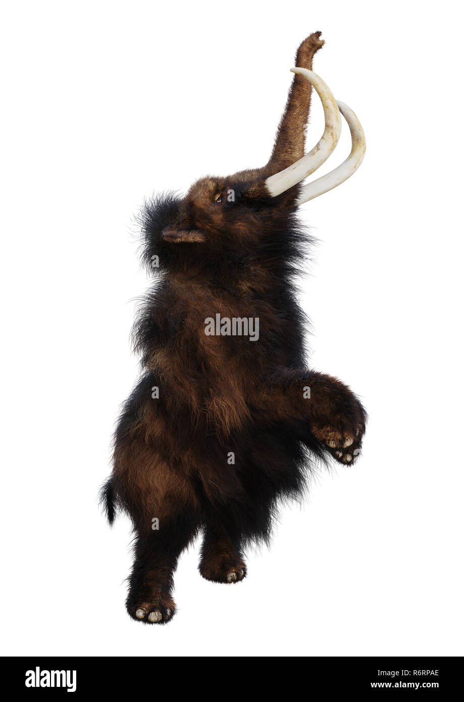 3D-Rendering Mammuts auf Weiß Stockfoto