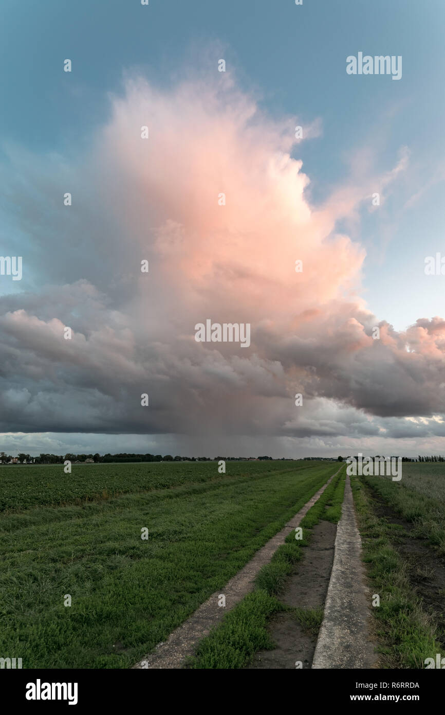 Isolierte Sturm über die niederländische Landschaft bei Sonnenuntergang. Die Sonne wirft seinen letzten Buntes Licht auf dieser Cumulonimbus cloud. Gelegentlich Donner war zu hören. Stockfoto