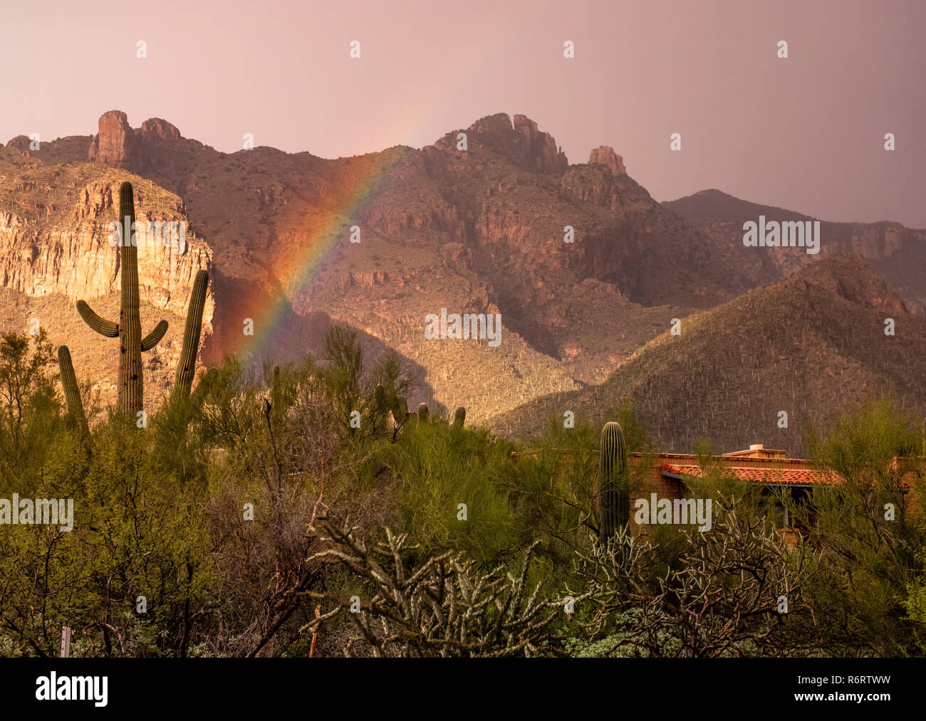 Ein leuchtender Regenbogen über dem Stadtrand von Tucson Stockfoto