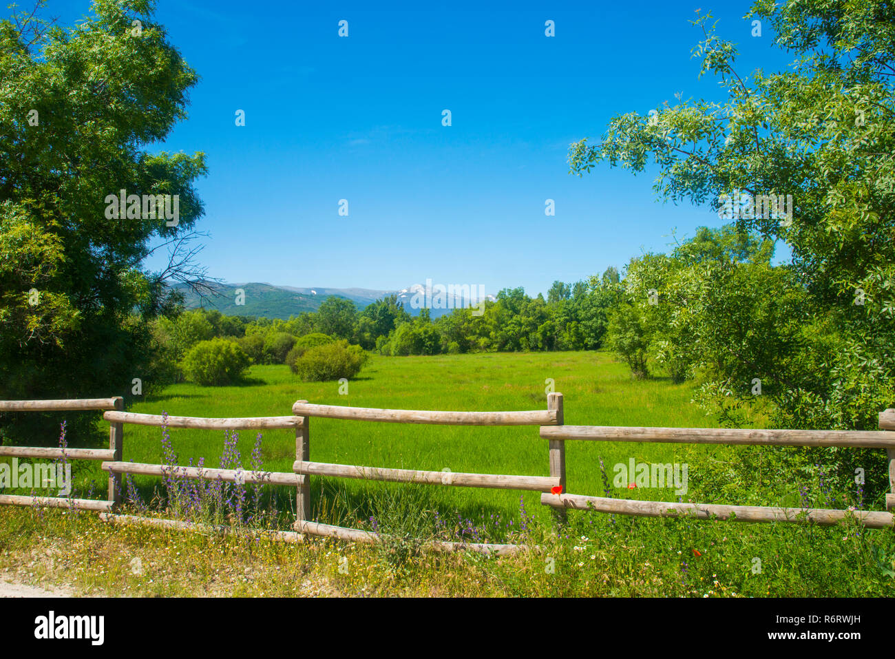 Frühling Landschaft. Sierra de Guadarrama Nationalpark, Provinz Madrid, Spanien. Stockfoto