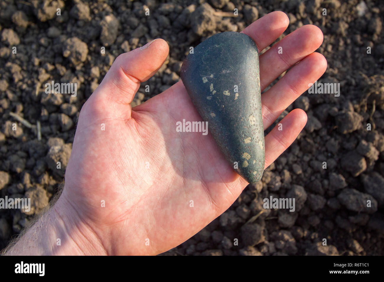 Neolithische Steinaxt 5000-6000 v. Chr. Stockfoto