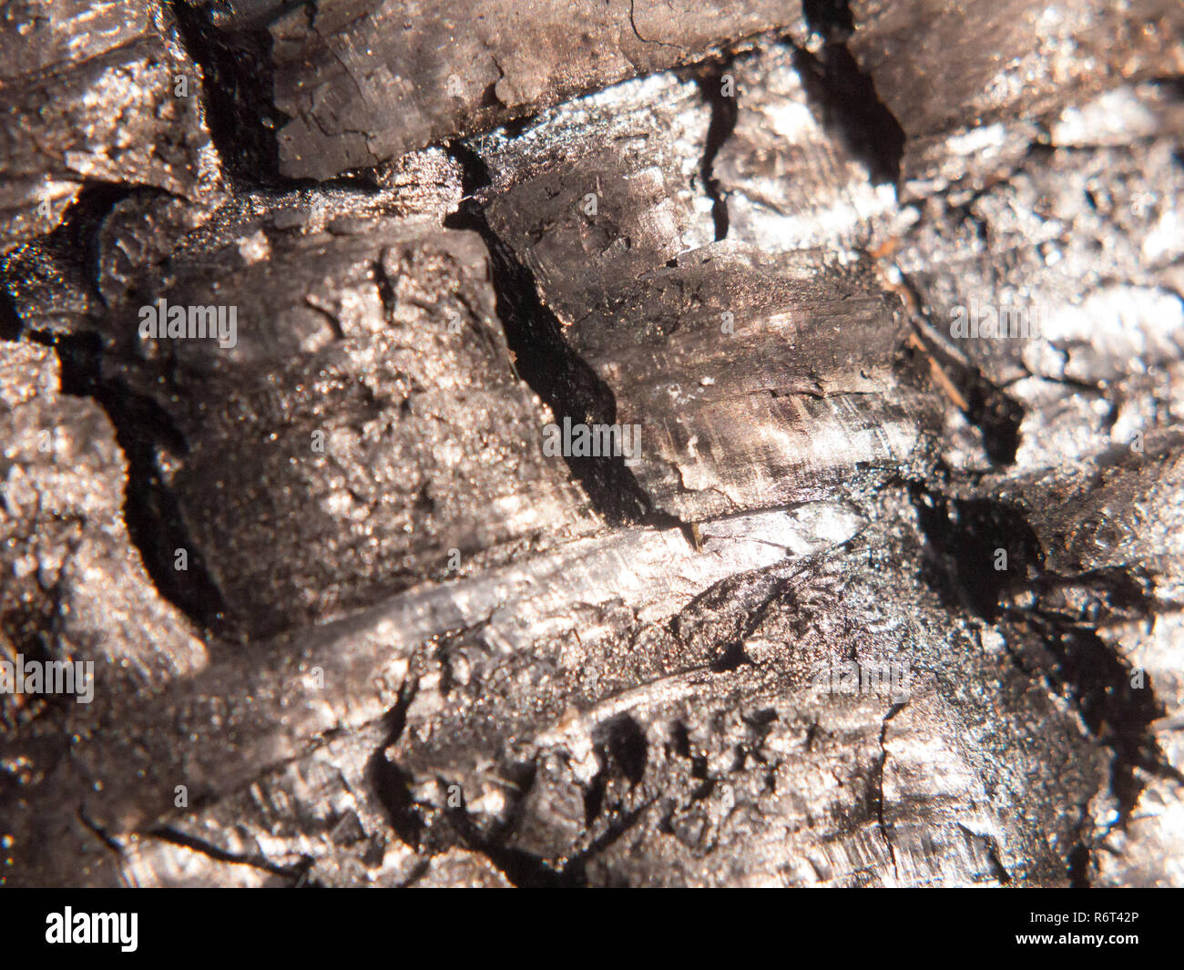 Nahaufnahme schwarze Textur von verbrannten verkohlten Baumstumpf Wald Holzkohle Stockfoto