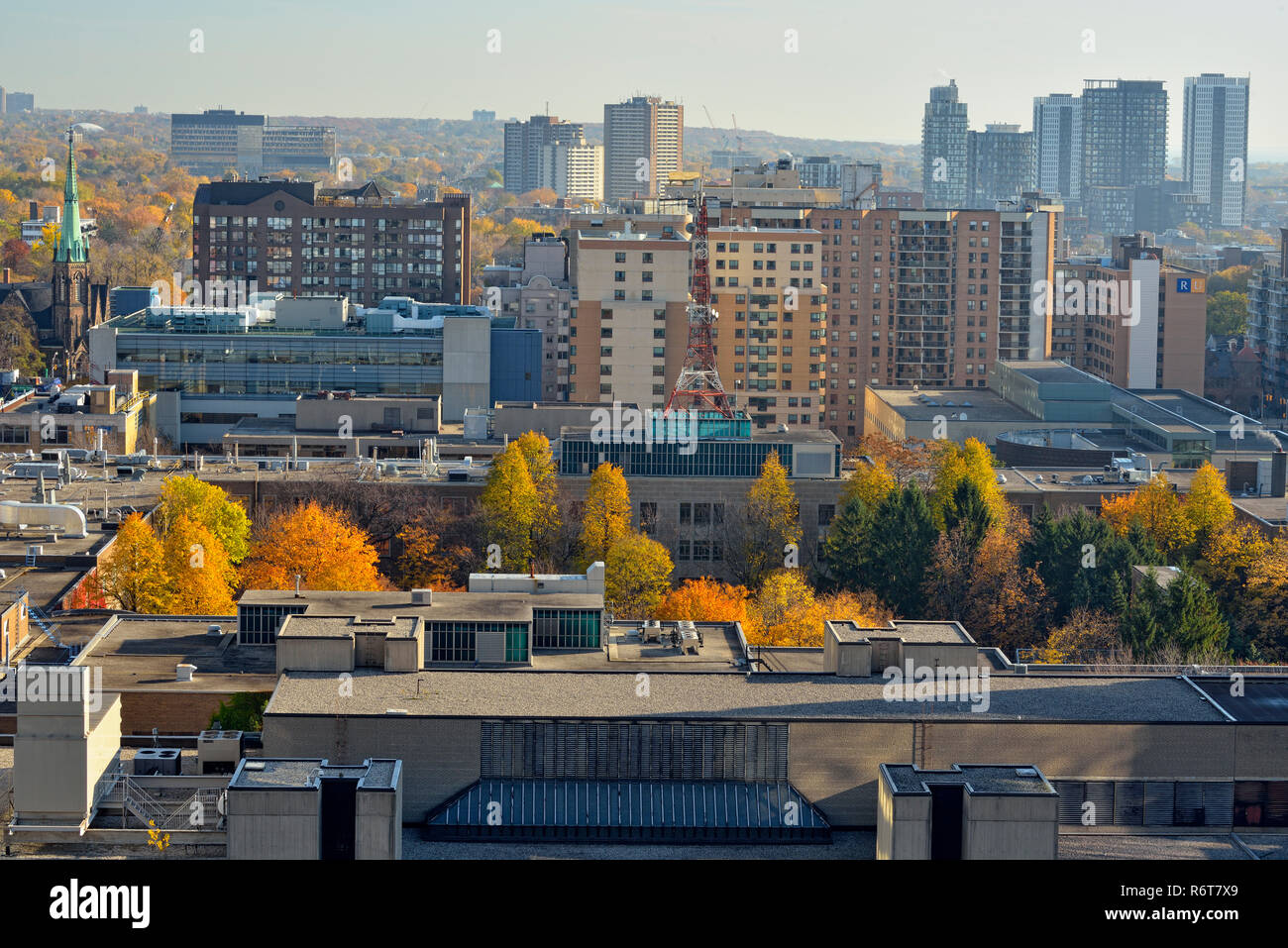 Downtown Toronto - auf der Suche nach Osten in Richtung Ryerson University aus der Eaton Chelsea Hotel (20. Stock), Toronto, Ontario, Kanada Stockfoto