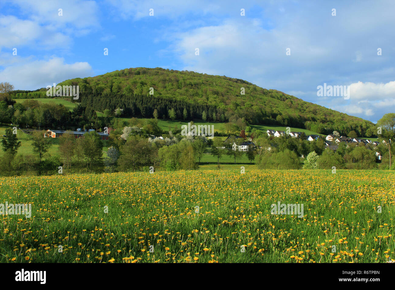 Frühling in der Grafschaft, Ansicht der wilzenberg Stockfoto