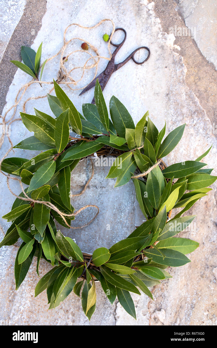 Lorbeerkranz von frischem Lorbeer mit Schere und Seil Stockfotografie ...