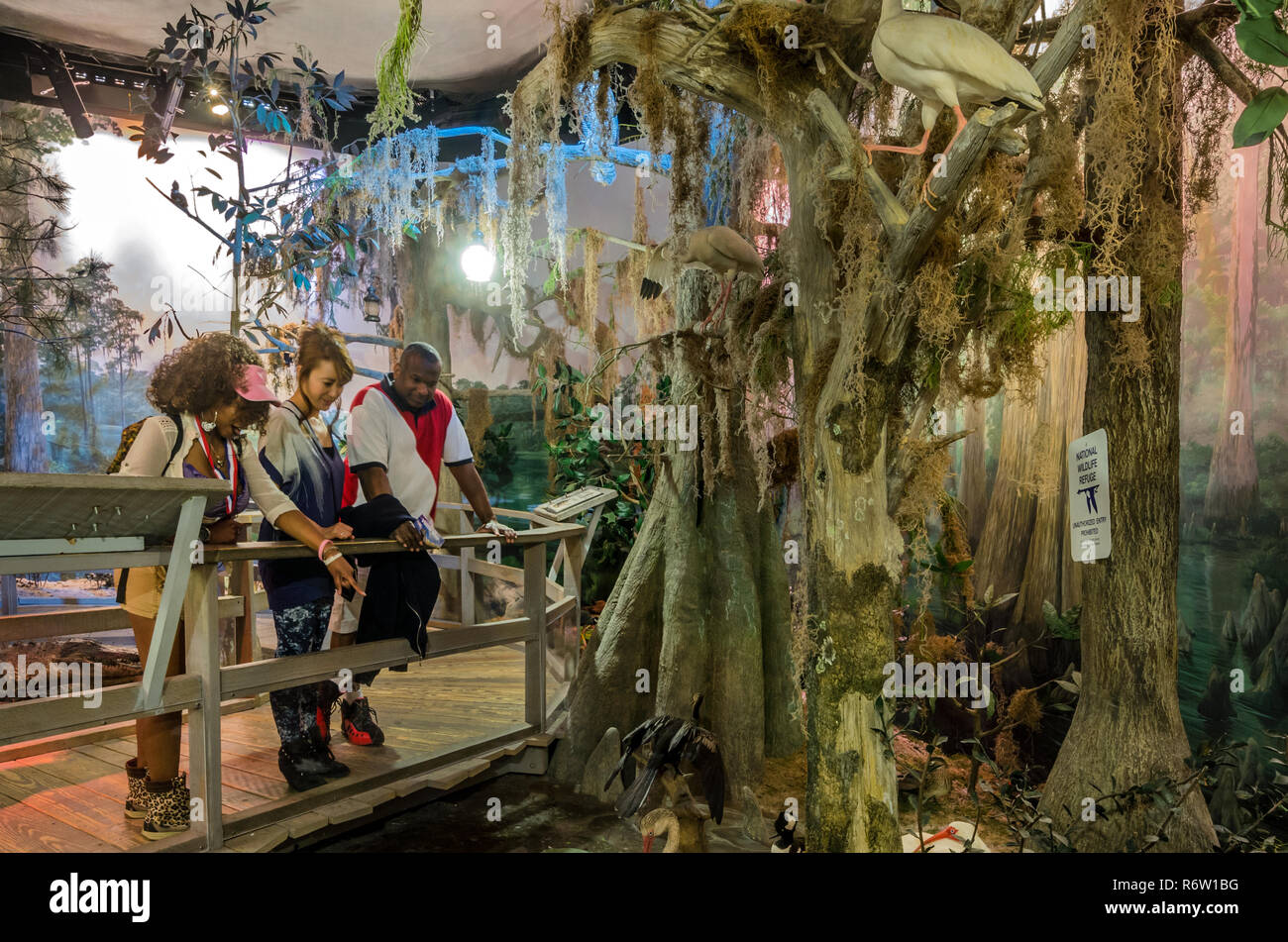 Eine Familie erforscht die Okefenokee Swamp in der "eine durch die Zeit in Georgien" Ausstellung bei Fernbank Museum of Natural History in Atlanta, Georgia. Stockfoto