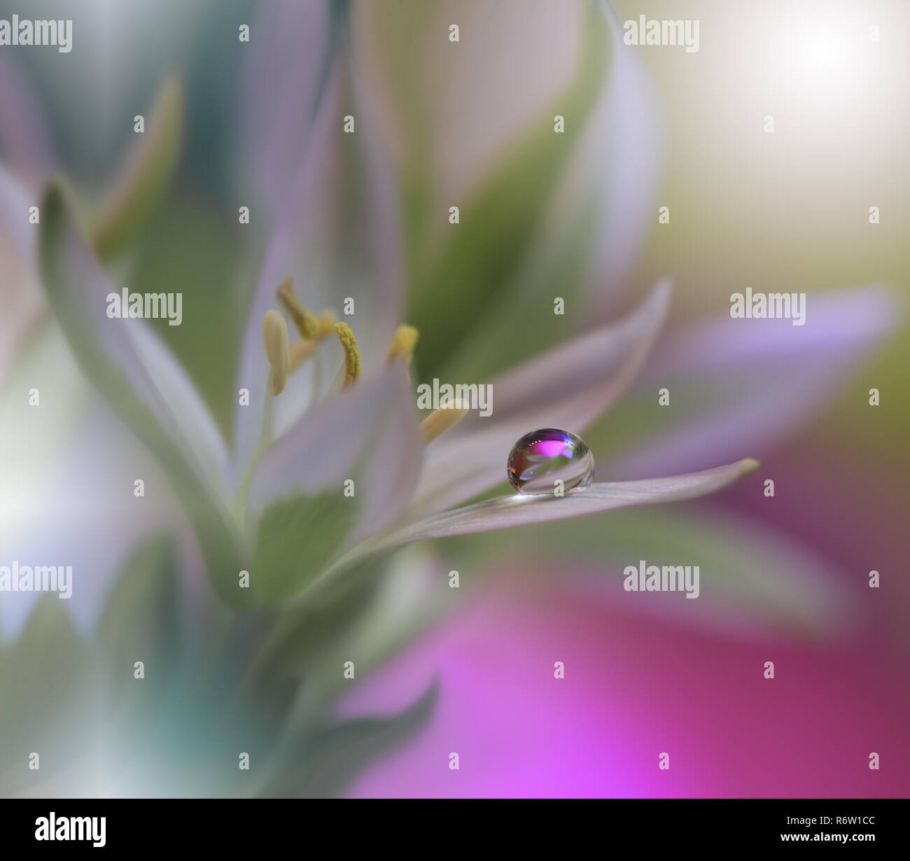 Desktop Blumen Stockfotos Und Bilder Kaufen Alamy