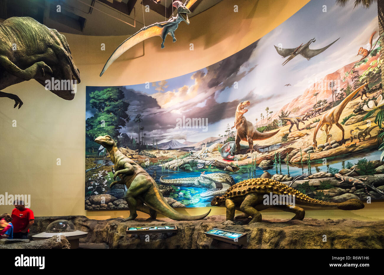 Die Besucher gehen durch die dinosauriergalerie Fernbank Museum of Natural History, 23. Mai 2014 in Atlanta, Georgia. Stockfoto