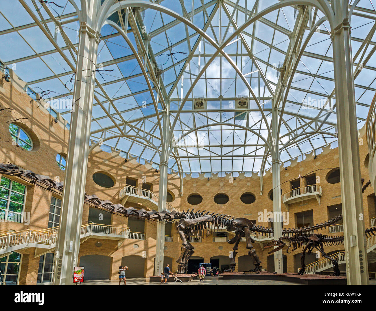 Die Besucher gehen vorbei an einem argentinosaurus in der Großen Halle bei Fernbank Museum of Natural History, 23. Mai 2014 in Atlanta, Georgia. Stockfoto
