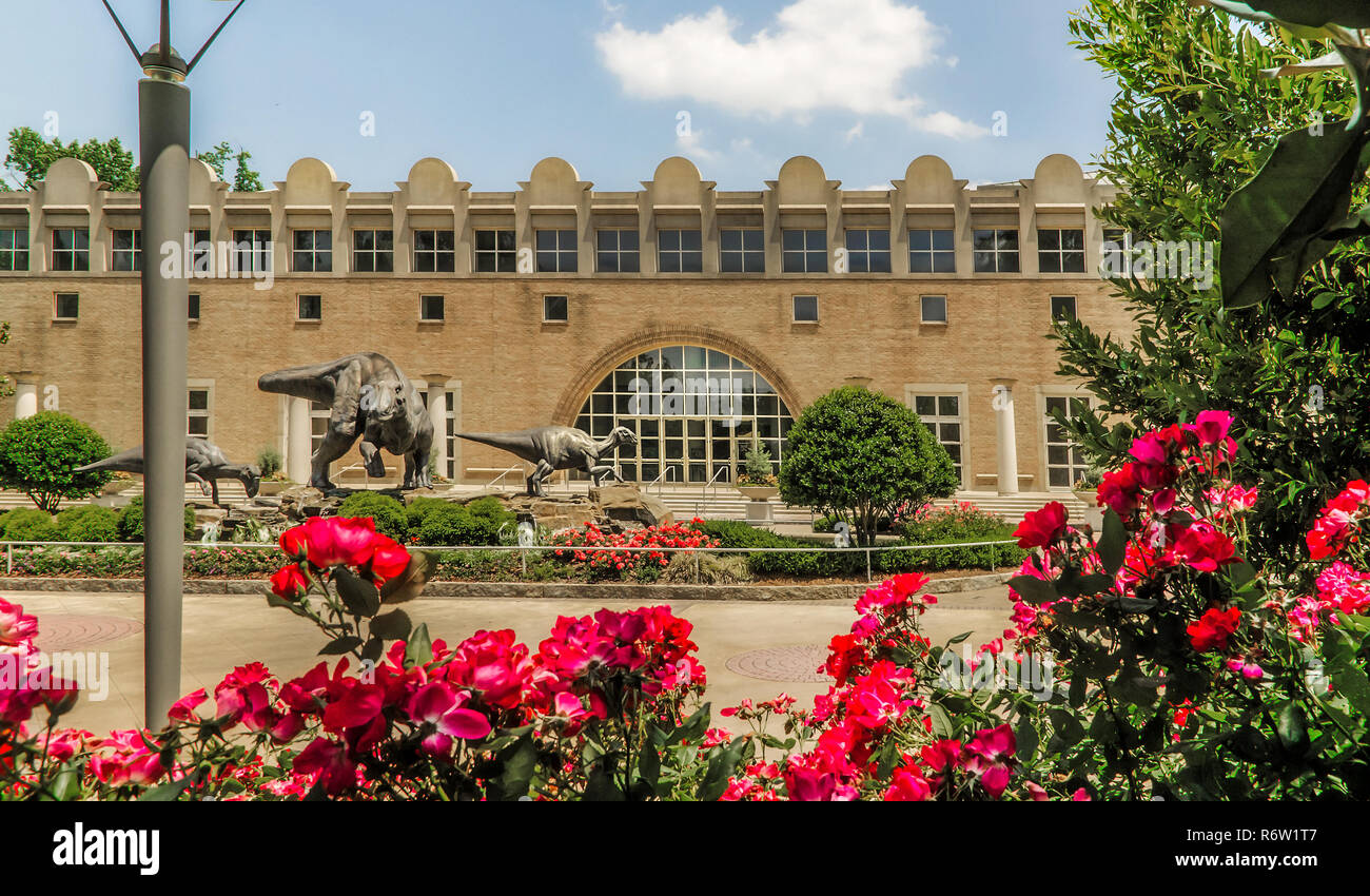 Blumen blühen vor dem Fernbank Museum of Natural History und Dinosaur Plaza in Atlanta, Georgia. Stockfoto