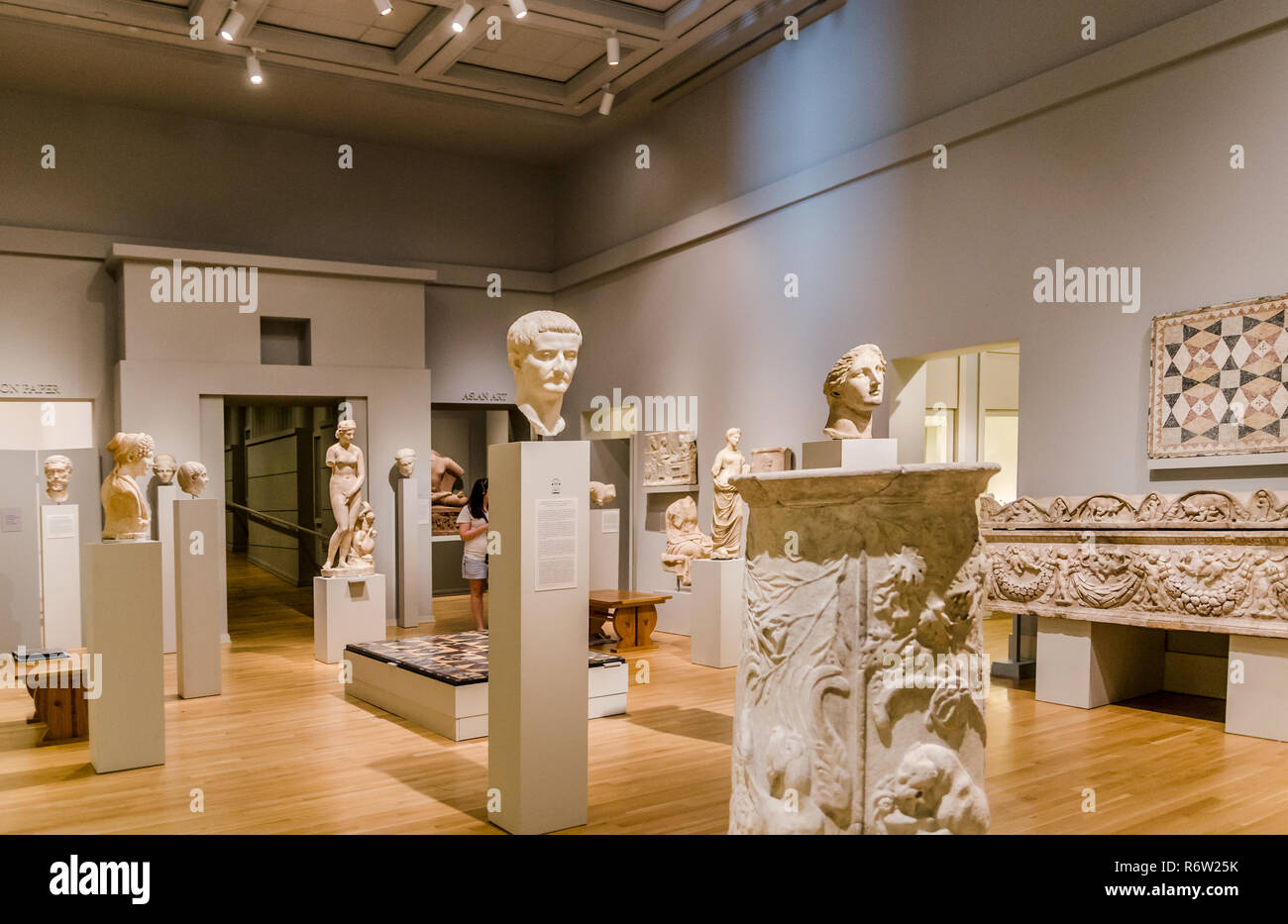 Skulpturen sind in der griechischen und römischen Kunst Galerie bei der C.Carlos Museum an der Emory Universität, 8. Juli 2014, in Atlanta, Georgia angezeigt. Stockfoto