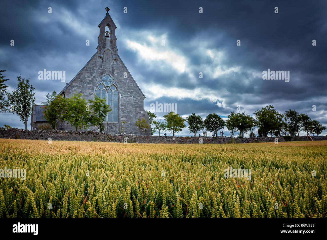 Alte irische Kirche durch einen goldenen Weizenfeld im Vordergrund umgeben, Irland Landschaft Stockfoto