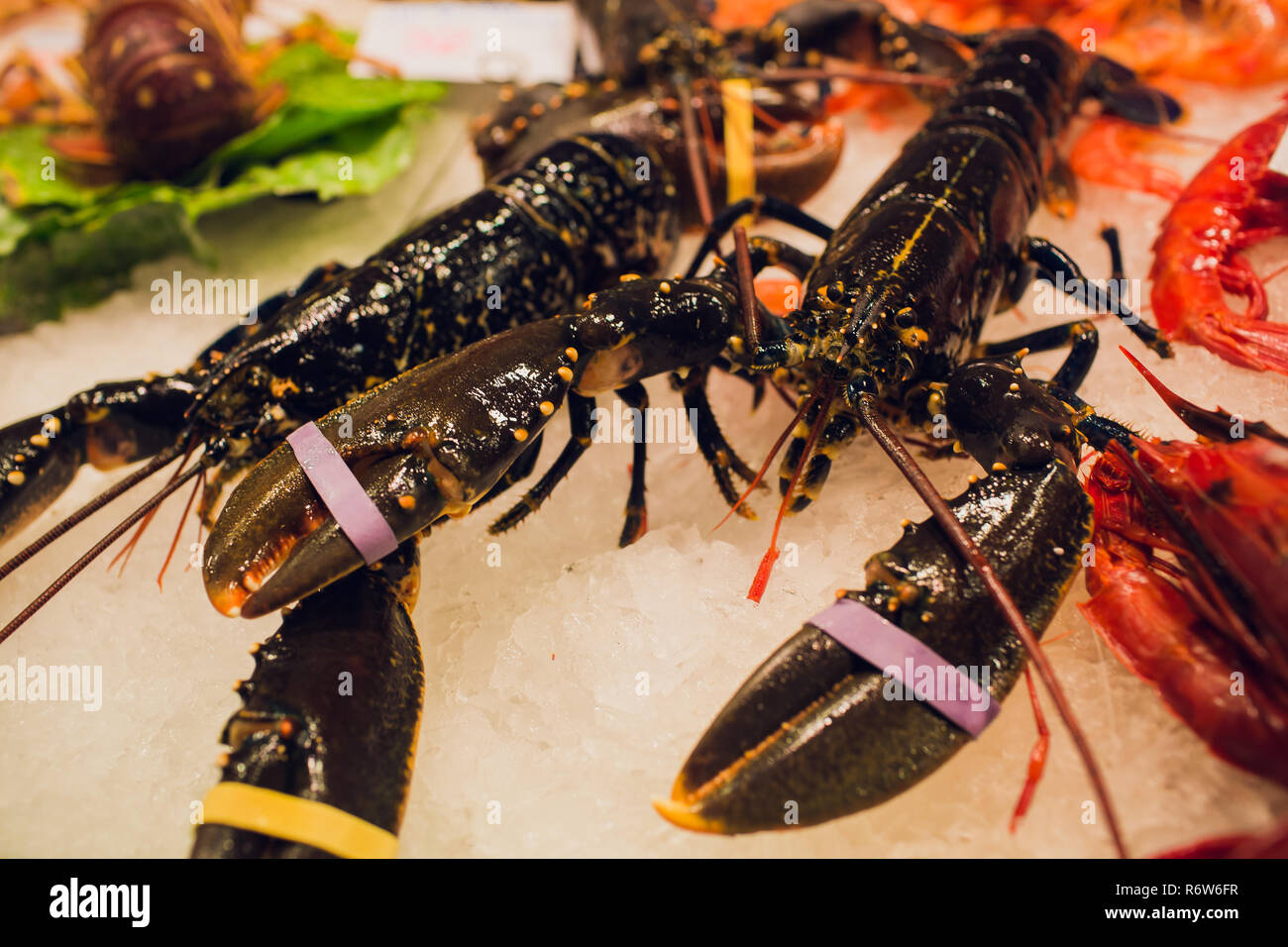 Nahaufnahme des Großen raw dark red Garnelen Garnele krustentier Languste Langusten Fisch und Meeresfrüchte stehen auf Eis im frischen Markt hinter Glas in Store, Shop. Stockfoto