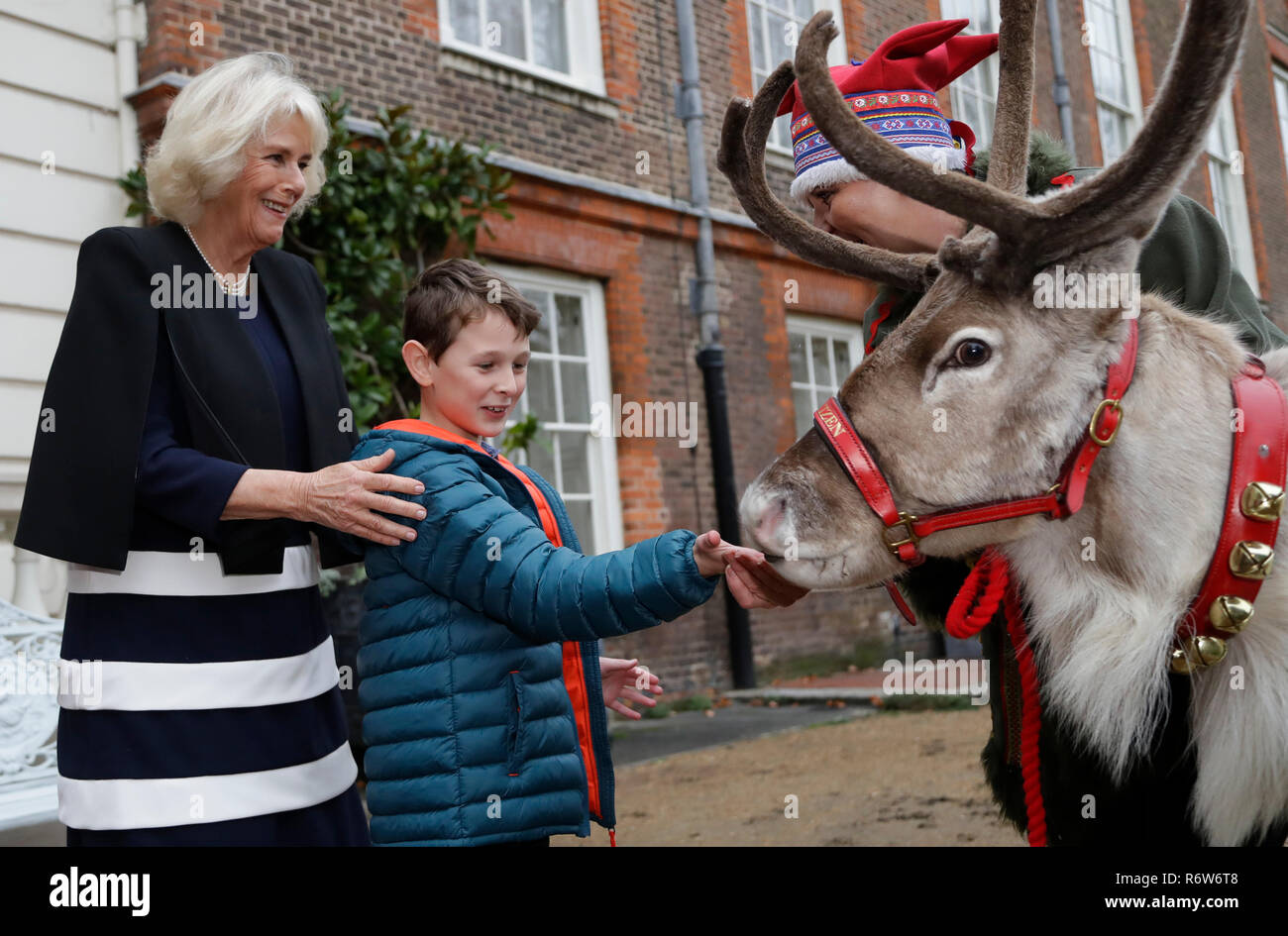 Die Herzogin von Cornwall steht mit Vincent Evans, acht, als er füttert Rentier Blitzen mit seinem handler Karen Perrins in den Gärten im Clarence House in London bei einer Veranstaltung, die von Kindern und Familien, die von Helen & Douglas House und Roald Dahl ist wunderbar, Children's Charity unterstützt besucht. Stockfoto