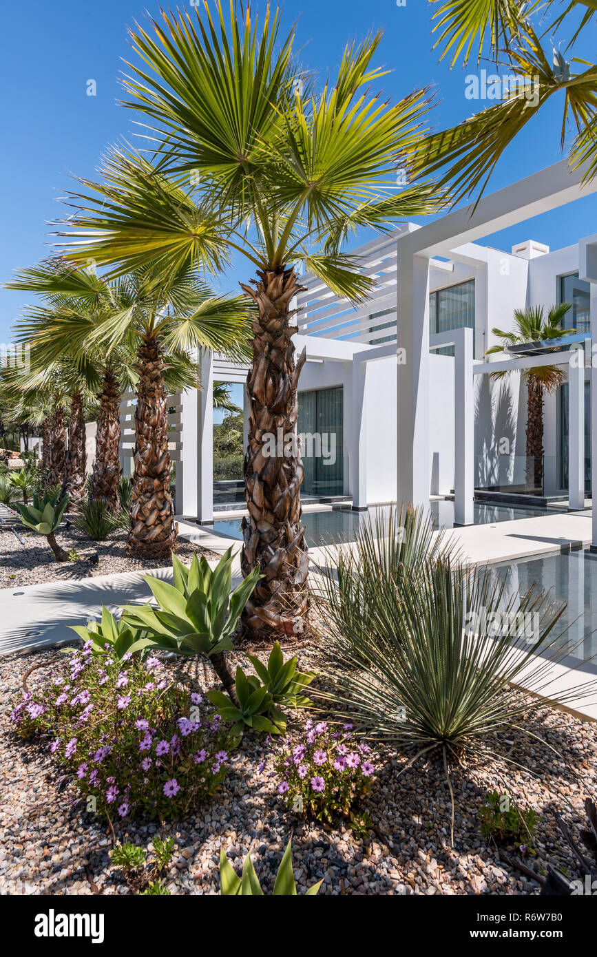 Palmen und dürreresistente Kies Garten am Eingang der moderne Villa in Quinta do Lago Stockfoto