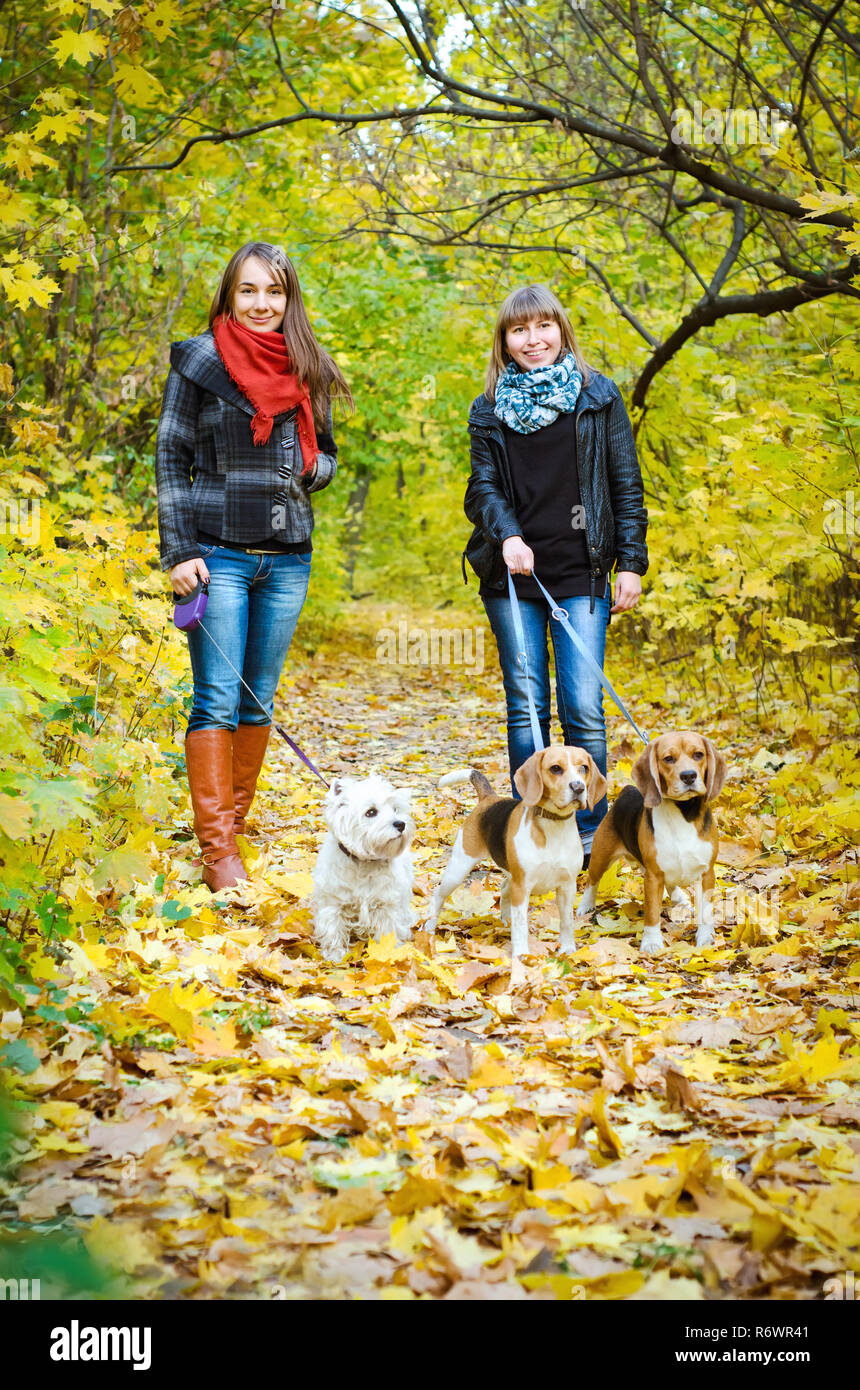 Frauen gehen in den Park mit Hunden Stockfoto