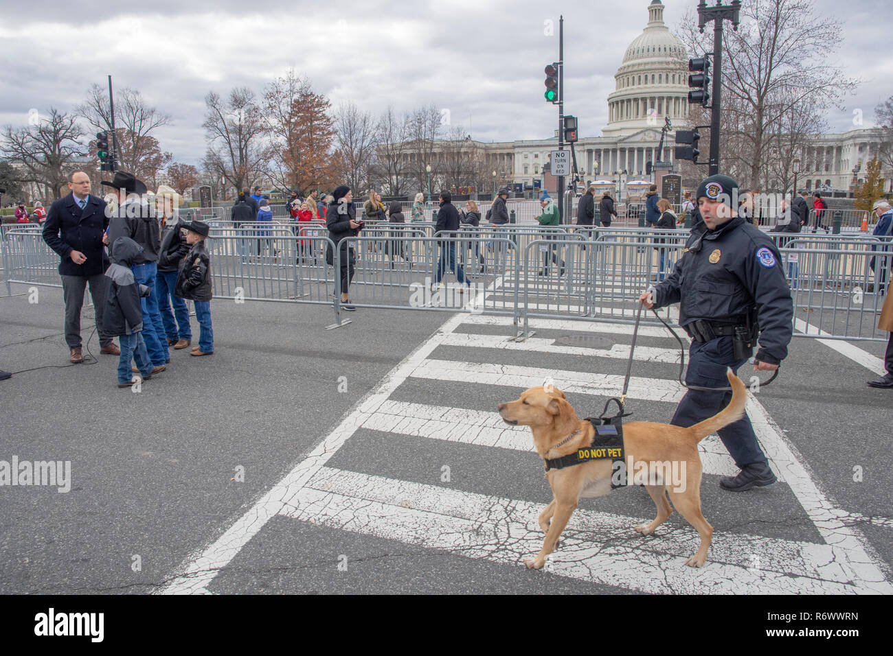 Ein polizeihund Patrouillen außerhalb der U.S. Capitol, 4. Dezember 2018. Die Überreste von Präsident George HW Bush im Staat lag am Capitol Dec 3 - 5. Stockfoto