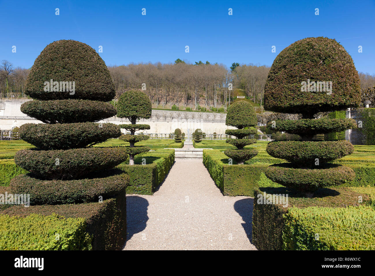 Gärten von Schloss Villandry, Indre-et-Loire, Frankreich Stockfoto