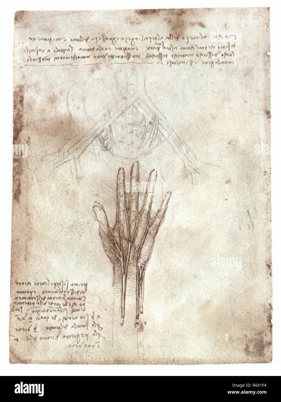 Vintage Leonardo Da Vinci Artwork Stockfoto Vintage Leonardo Da Vinci Artwork Stockfoto