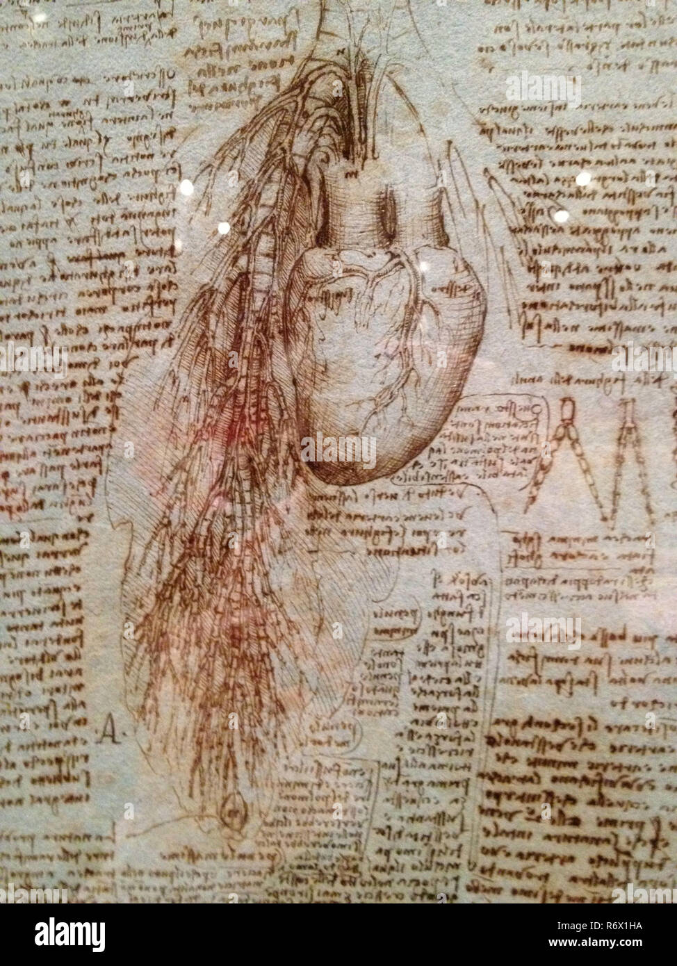 Vintage Leonardo Da Vinci Artwork Stockfoto