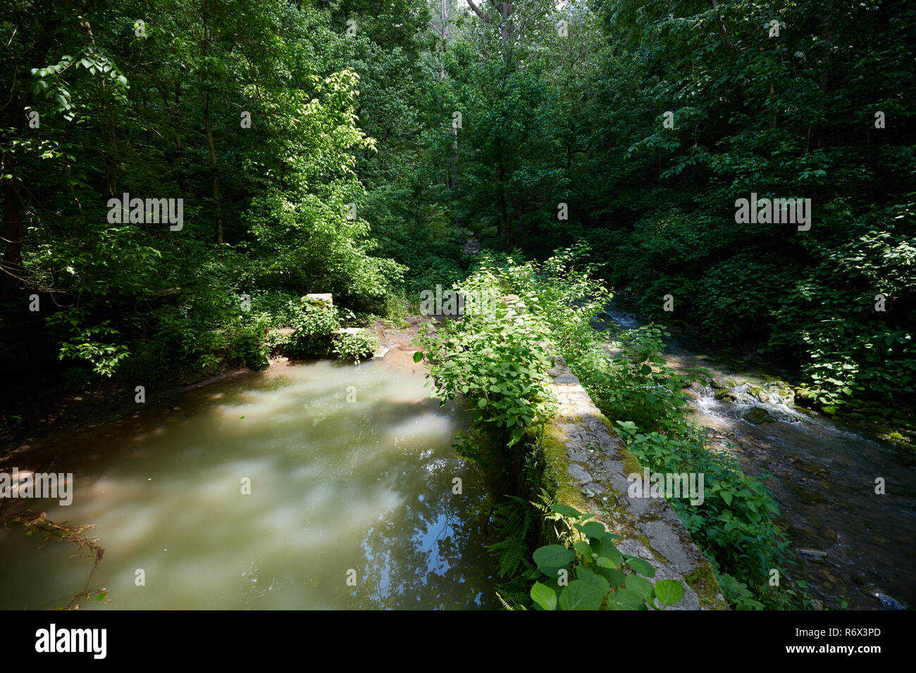 Überreste einer Mühle in Cove Spring Park, Frankfort, Kentucky Stockfoto