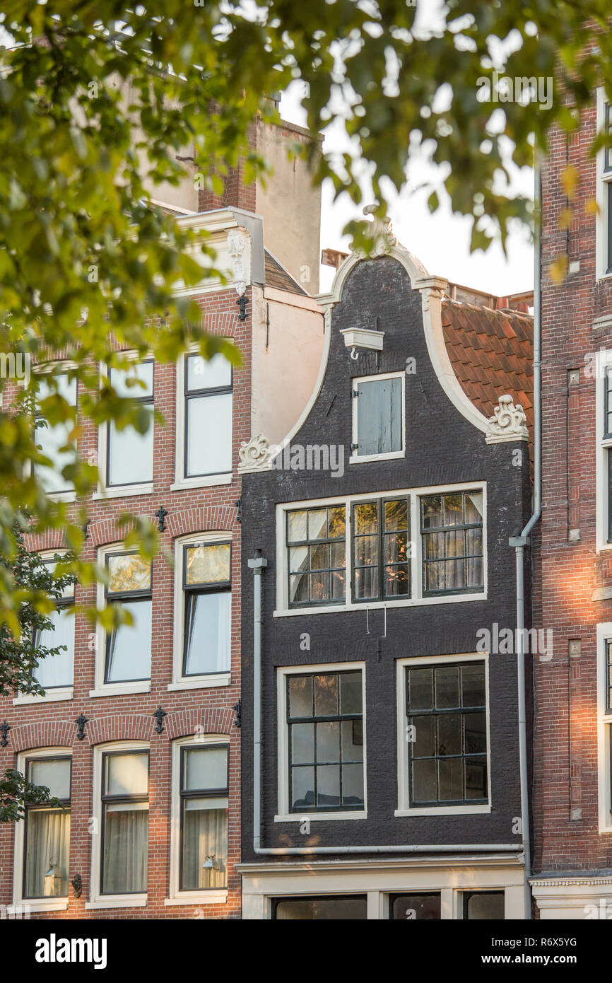 Hausboote entlang der schönsten Grachten von Amsterdam, Niederlande, im Sommer Stockfoto