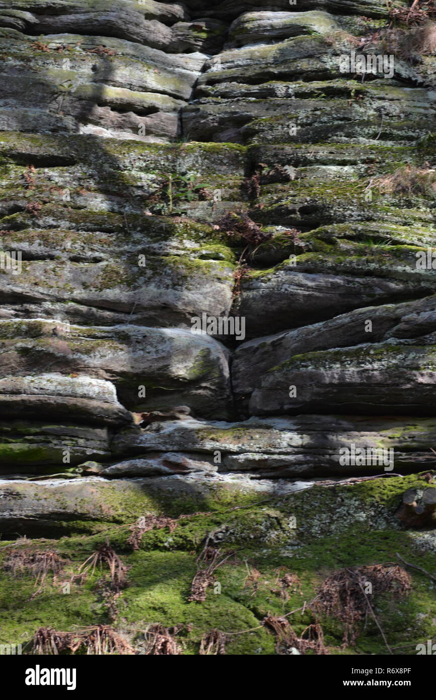 Sandstein Felsen beweist eine Idee Lebensraum für eine Vielzahl von Pflanzen mit kostenlosen Farben und Schattierungen Hilfe eine harmonische Umwelt Szene zu erstellen Stockfoto