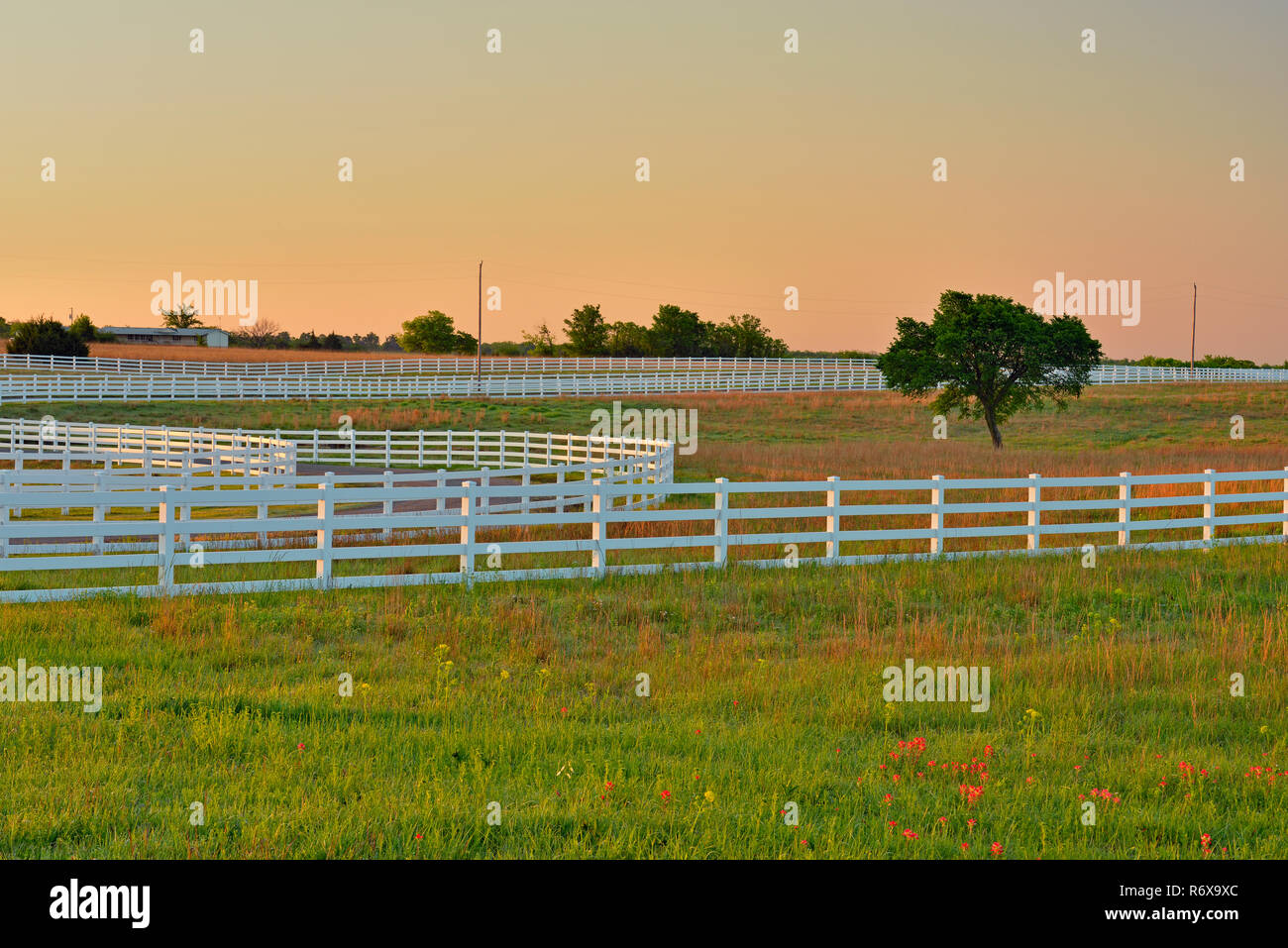 Cimarron Tal pferd Reha-zentrum, Stroud, Oklahoma, USA Stockfoto