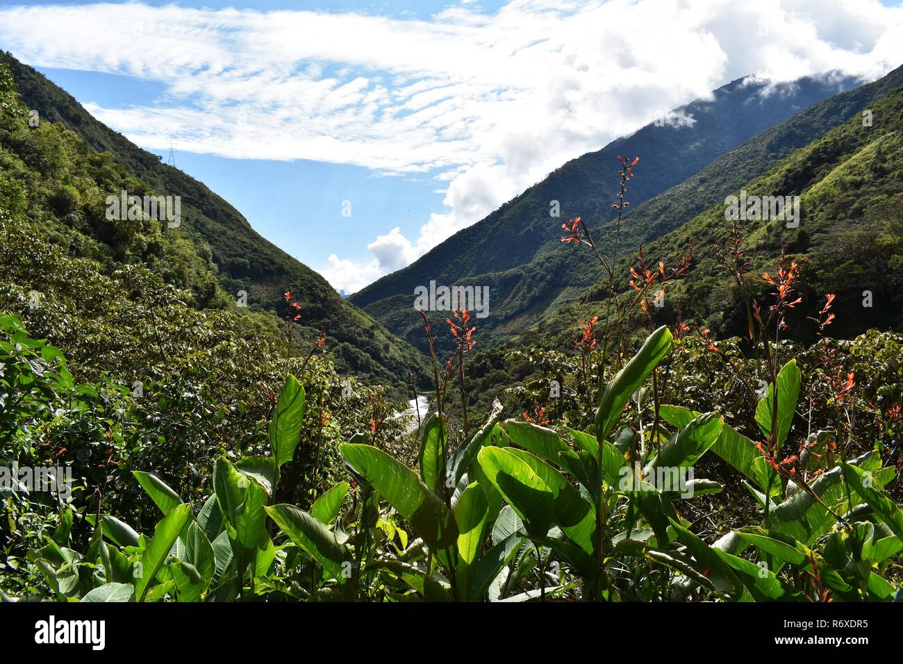 Anden Berge Landschaft entlang der Salkantay Trek nach Machu Picchu, Peru. Stockfoto