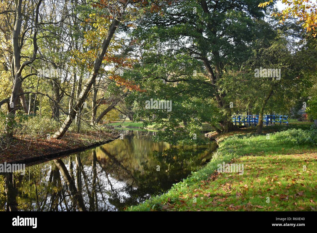 Schönen Herbst Landschaft mit Teich und Bäume. Stockfoto