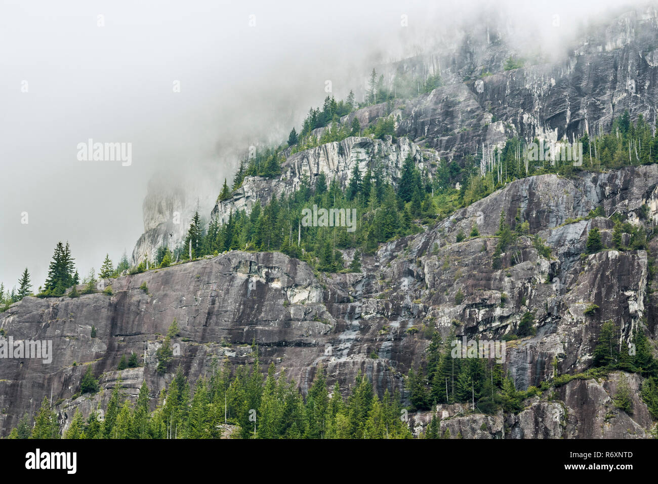 Steile, rauhe Granit Felsen mit Bäume wachsen auf schmalen Simsen stark steigen, deren Gipfel fast verdeckt von Wolken (British Columbia Regenwald). Stockfoto