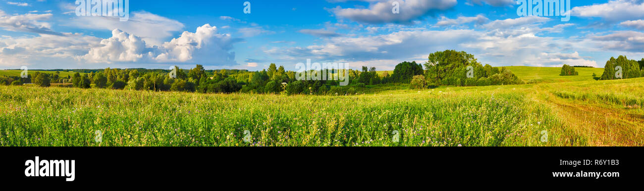 Ländliche Landschaft. Panorama Stockfoto