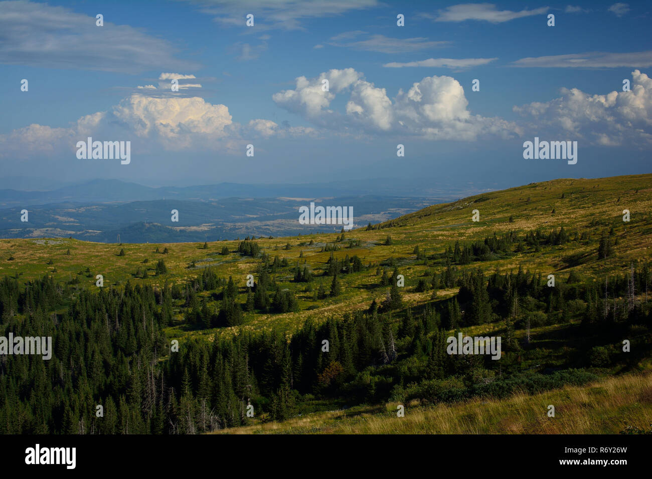 Bergwelt im Sommer bei Vitosha Berg in der Nähe von Sofia, Bulgarien Stockfoto