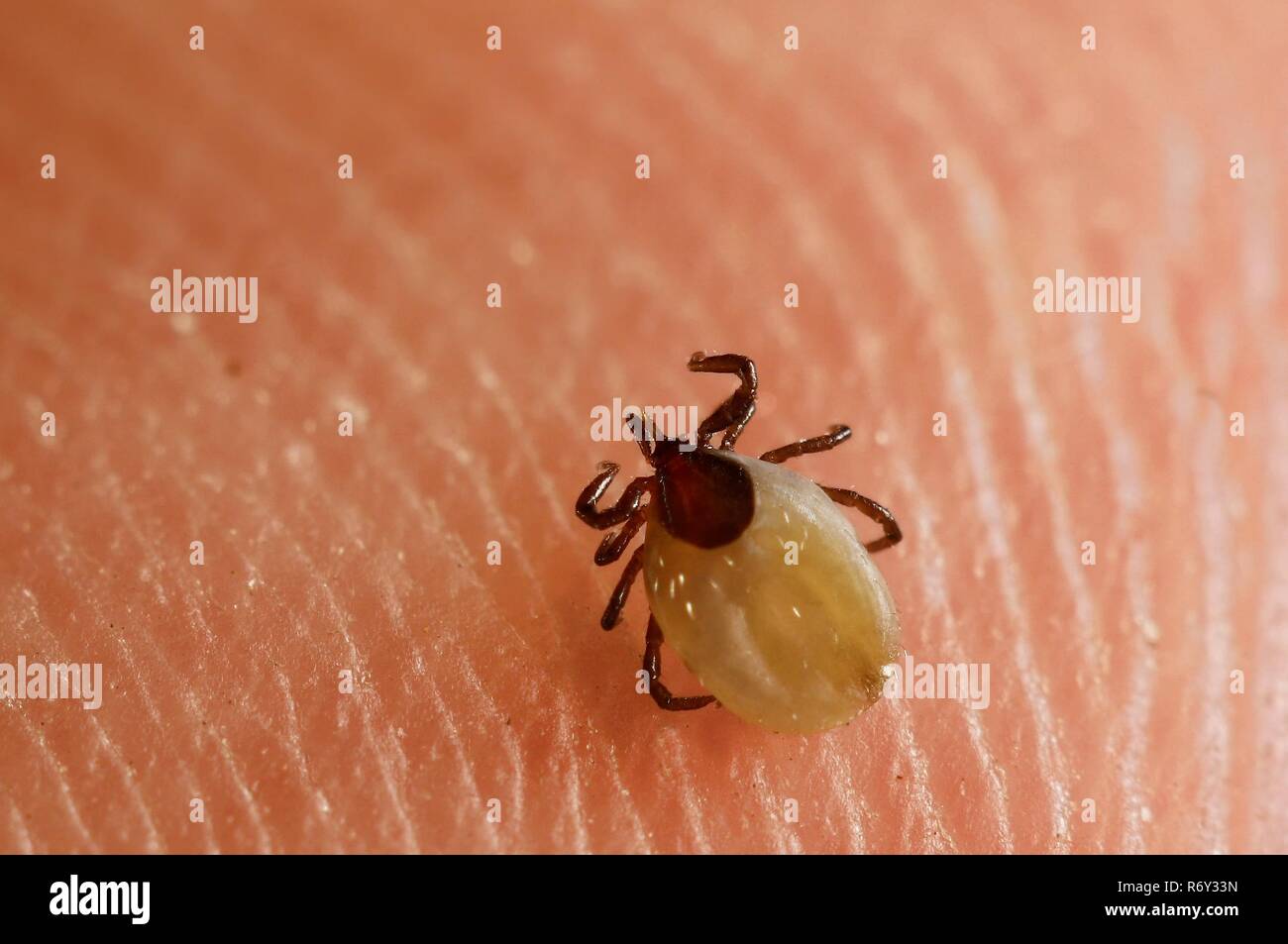 Kreuzen Sie auf Haut Stockfoto
