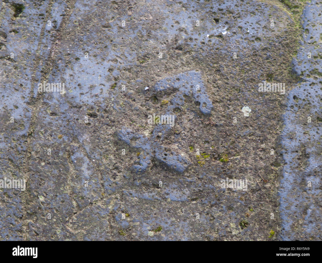 Stein Sternzeichen - Schütze Stockfoto