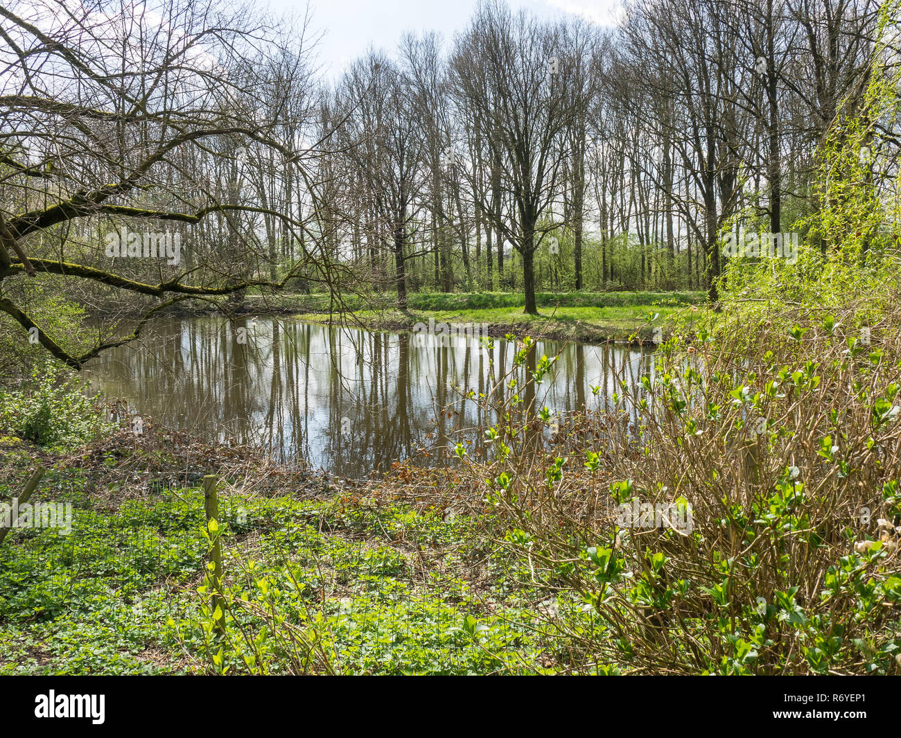 Die Berkel in den Niederlanden Stockfoto