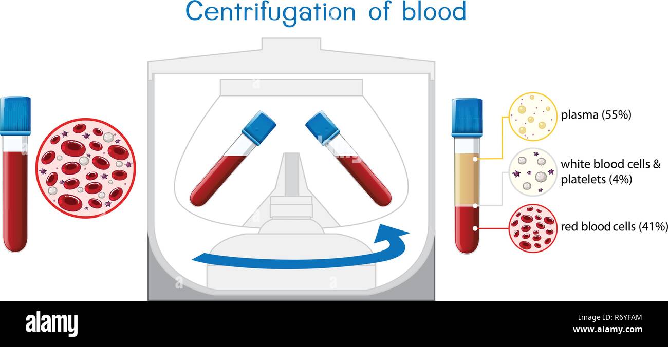 Zentrifugation von Blut Diagramm Abbildung Stock Vektor