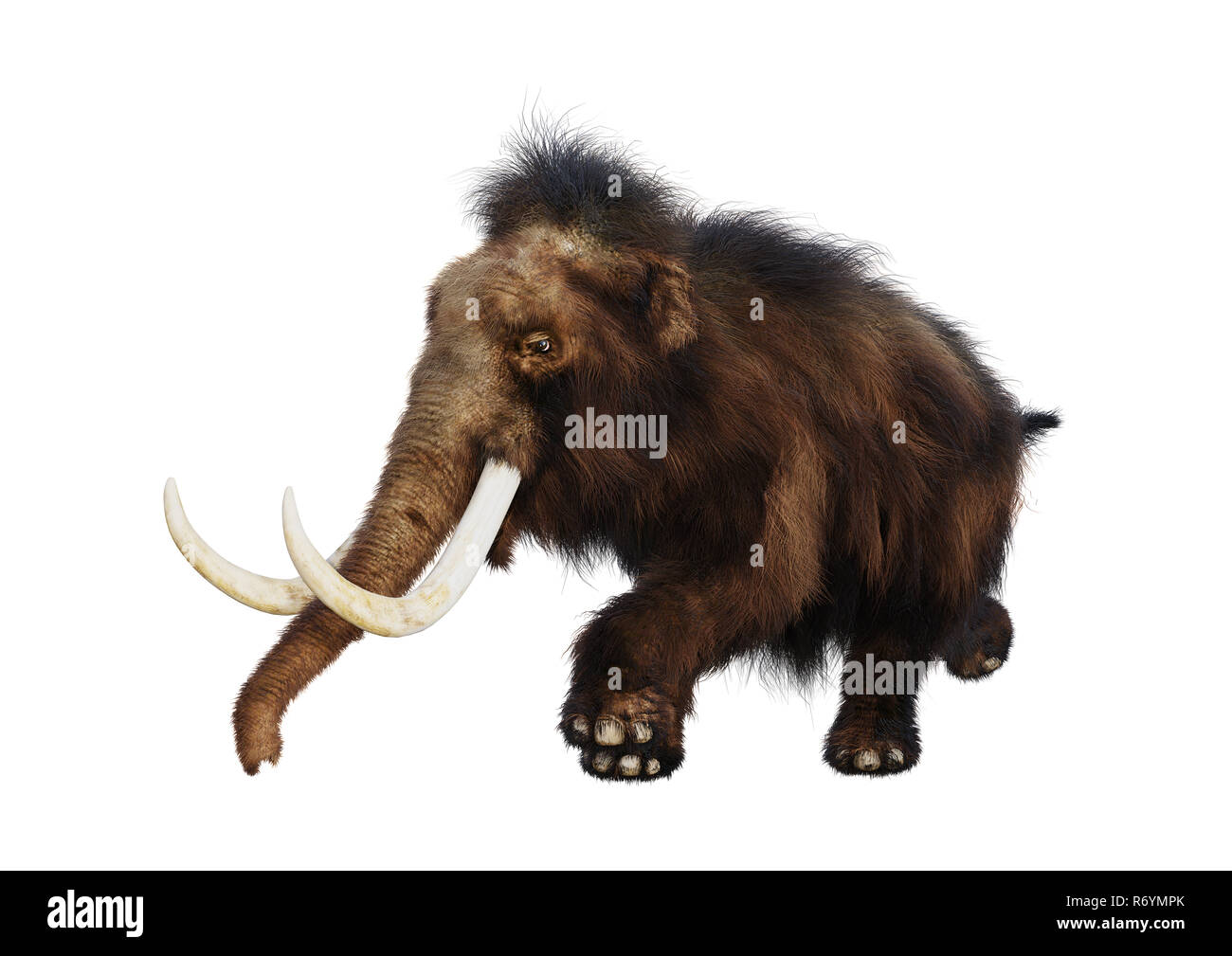 3D-Rendering Mammuts auf Weiß Stockfoto