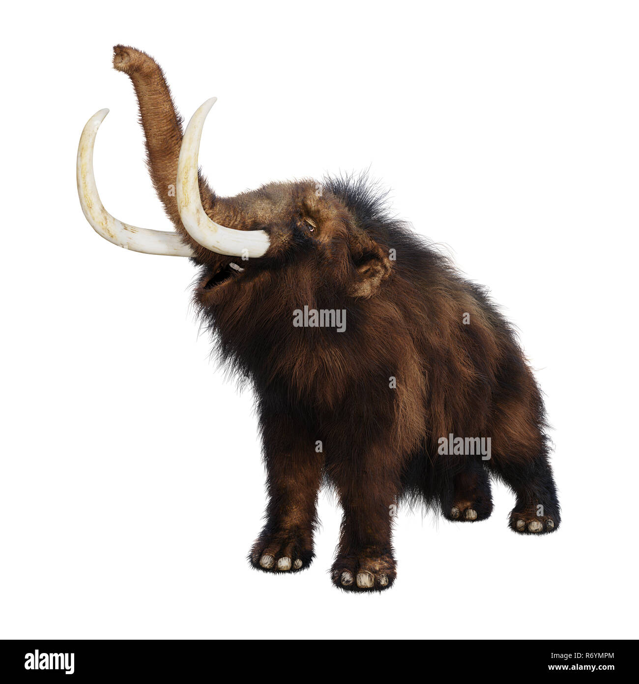 3D-Rendering Mammuts auf Weiß Stockfoto